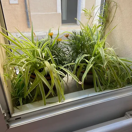 Meuble Maison Vigneronne Apartament